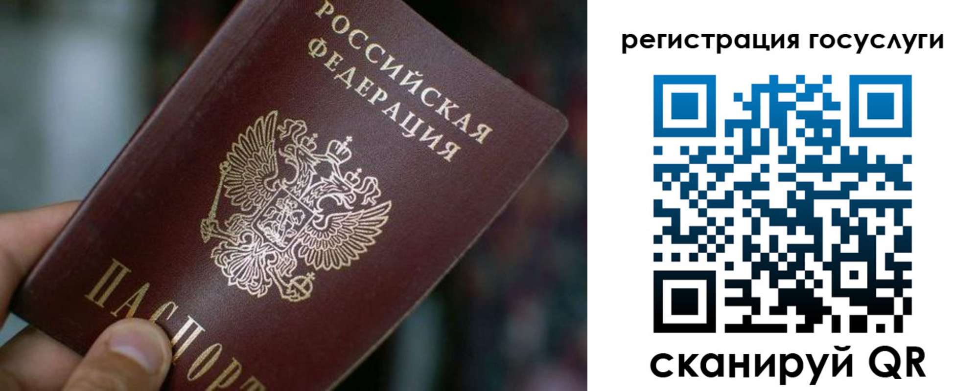 временная прописка в Дубне
